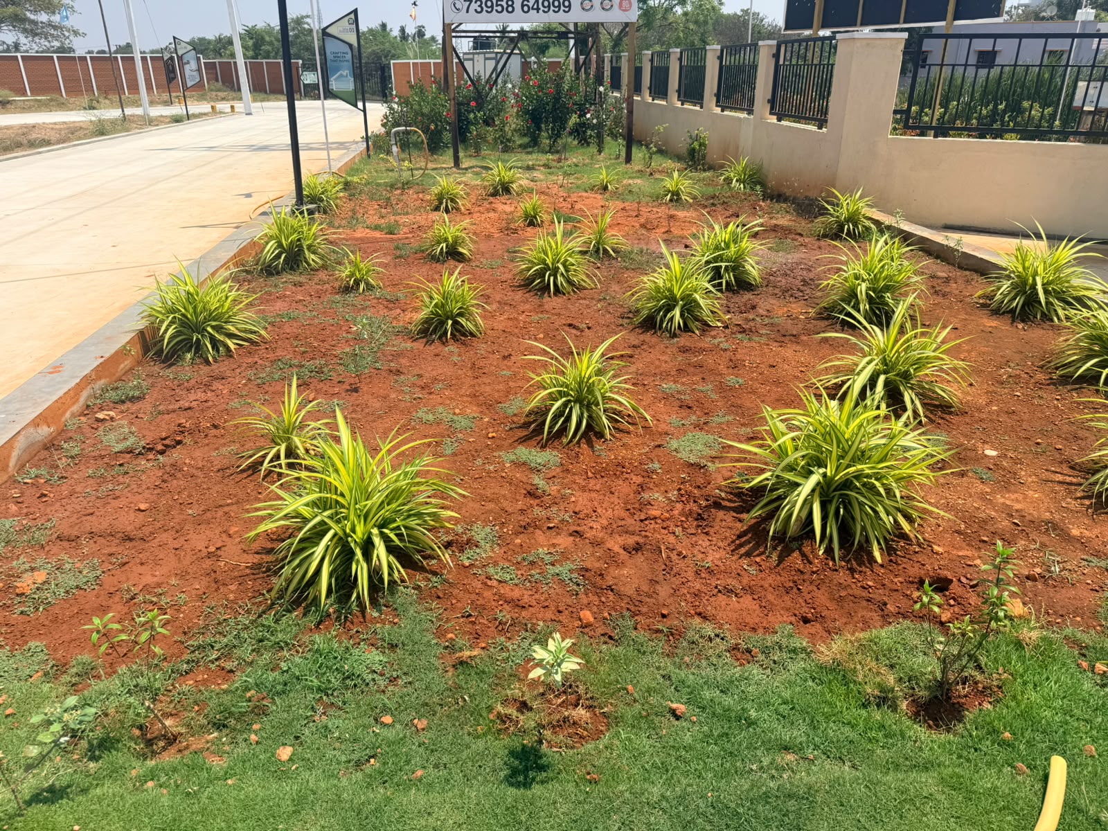 Ornamental Plantings Along Internal Roads